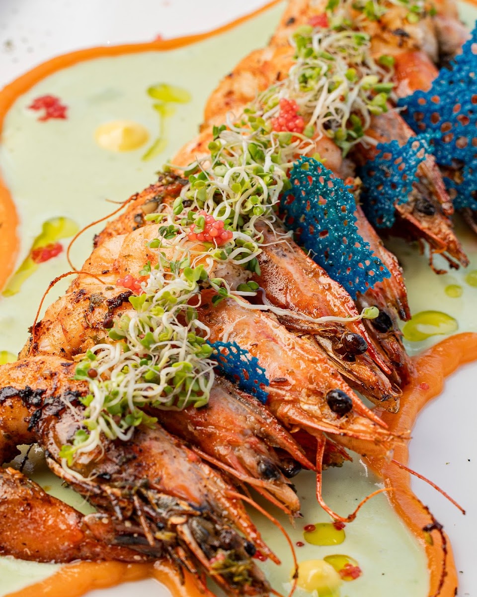 Club Nautico Cavancha-9